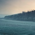 All Quiet on the Western Front&nbsp;(2022)