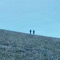 All Quiet on the Western Front&nbsp;(2022)