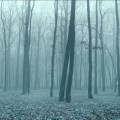 All Quiet on the Western Front&nbsp;(2022)