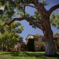 Better Call Saul Season 1 Episode 8 frame&nbsp;#_00156