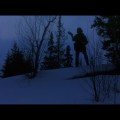 Blood Tracks (1985)