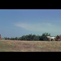 Helen of Troy&nbsp;(1956)