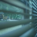 Ozark Season 3 frames&nbsp;#38