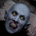 Salem’s Lot frame&nbsp;#01485