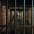 The Outfit (1973)