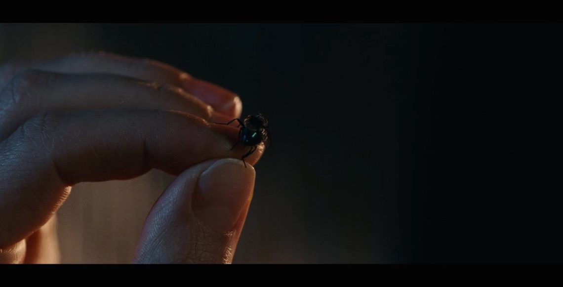 Aeon Flux frame grab