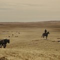 The Ballad of Buster Scruggs frame grab&nbsp;85