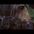 The Dark Crystal frame&nbsp;#00226