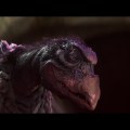 The Dark Crystal frame&nbsp;#00231