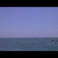 Leviathan frame #00932
