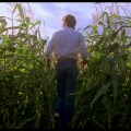 Children of the Corn frame&nbsp;#00542