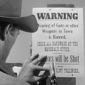 Man with the Gun&nbsp;(1955)