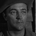 Man with the Gun&nbsp;(1955)