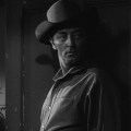 Man with the Gun&nbsp;(1955)