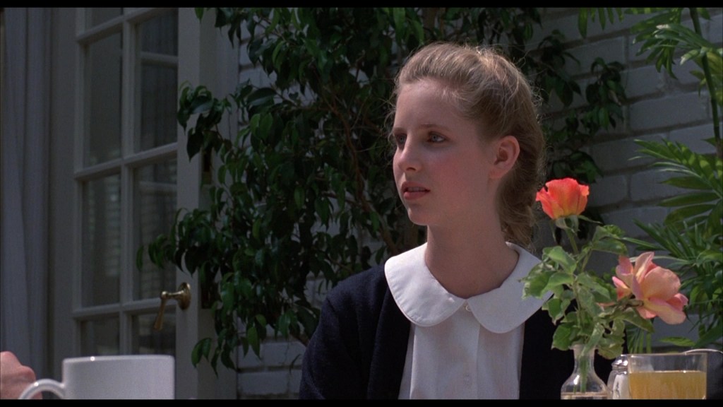 A young girl with blonde hair, wearing a white collar and navy cardigan, sits at a table with a floral centerpiece, looking contemplative. Soft light filters through a nearby window.