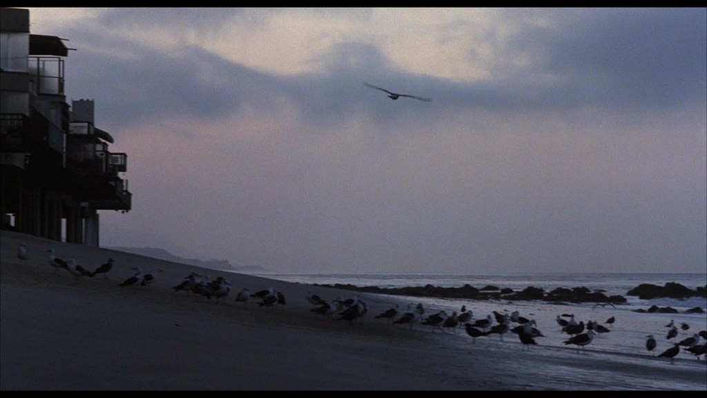 A serene beach scene at dusk, featuring a row of seaside buildings on the left, a flock of seagulls on the sand, and a calm ocean with gentle waves under a cloudy sky.