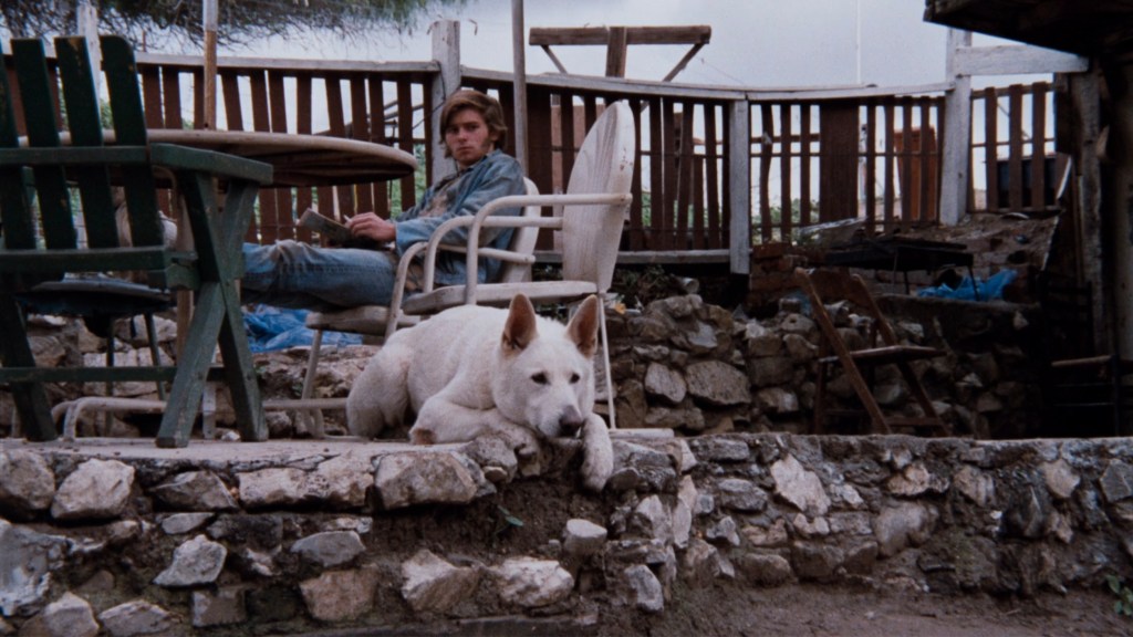 A young man sitting on a chair next to a stone wall, holding a book, with a white dog resting on the wall in front of him. The background features wooden structures and a rustic outdoor setting.