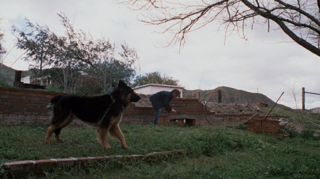 A dog stands in a grassy yard while a person crouches near a low brick wall, surrounded by trees and hills in the background.