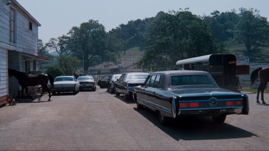 A line of parked cars on a rural road near a stable, with a horse near the building and green trees in the background.