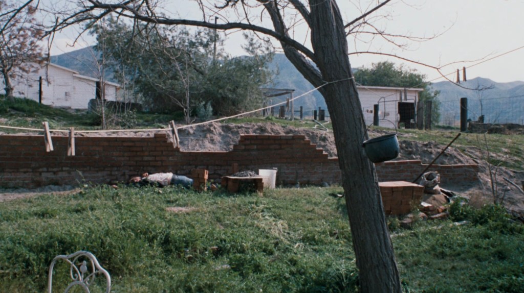 A rural outdoor scene featuring a grassy area with a brick wall, a tree, and various objects like a bucket and some rubble in the background. Several small structures are visible in the distance against a mountainous backdrop.