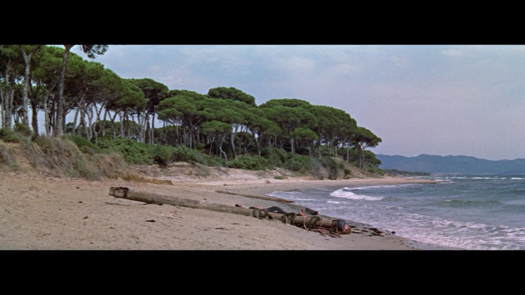 A serene beach scene featuring a sandy shore lined with tall pine trees, gentle waves lapping at the coast, and a partially submerged log on the sand.