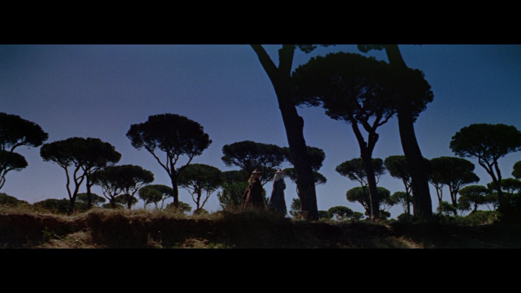 Silhouetted figures standing among tall trees against a deep blue sky.