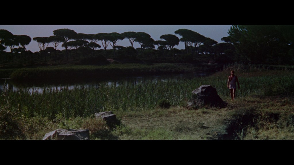 A solitary figure walks along a grassy path beside a serene body of water, surrounded by tall grass and trees in the background under a clear sky.