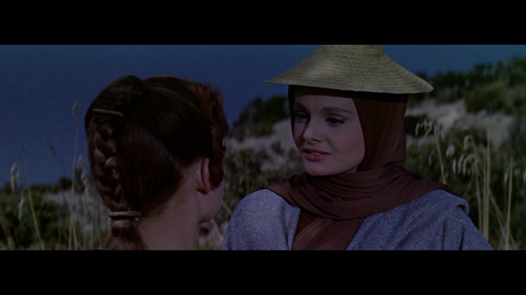 A woman wearing a straw hat and a brown shawl speaks to another woman with braided hair in a natural outdoor setting.
