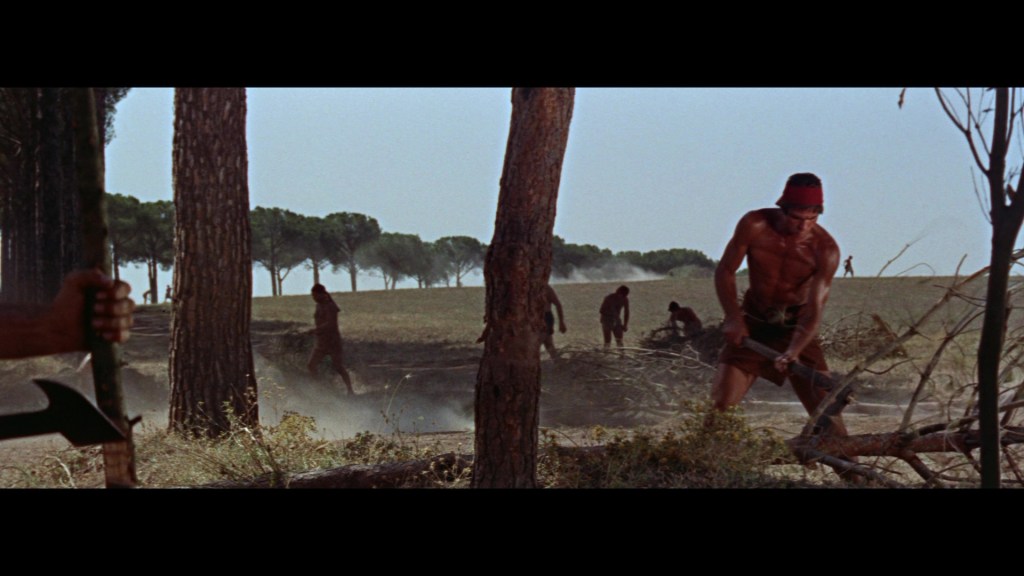 A group of muscular men working in a dusty field, with some clearing branches and others visible in the background among trees.