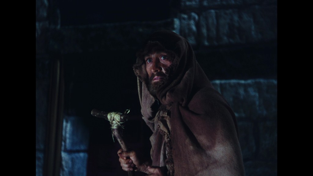 A bearded man wearing a tattered brown cloak looks intently while holding a wooden staff, with a stone wall visible in the background.