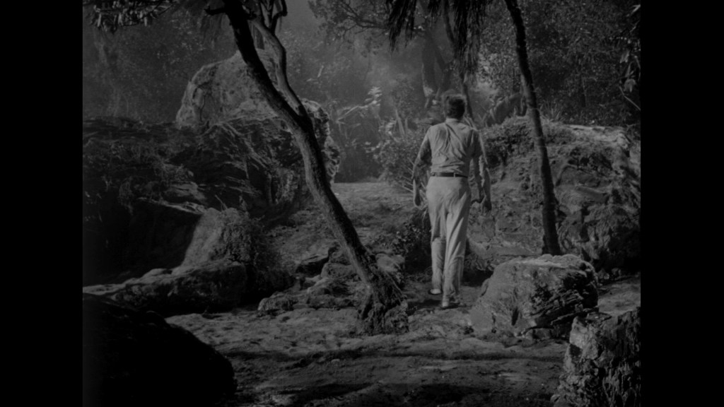 A person walking through a dense, shadowy forest with rocky terrain and trees, captured in black and white.