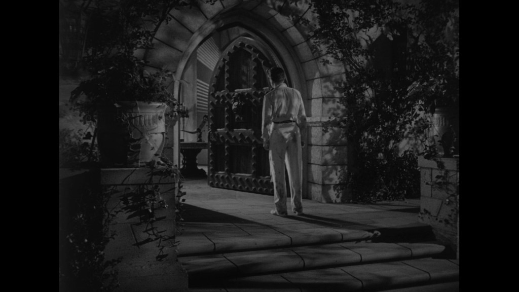 A person in white clothing stands on stone steps in front of a large, ornate door surrounded by greenery at night.