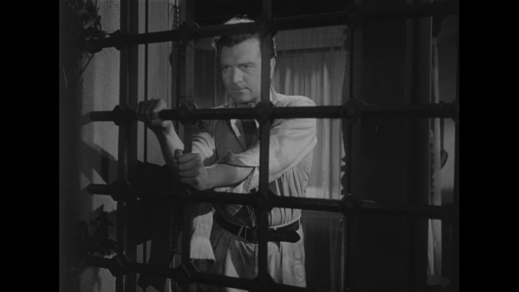 A man in a white shirt and dark pants stands behind a wrought iron gate, gazing intently out of a window.