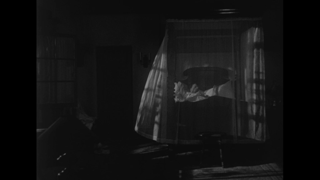 A dark room with a canopy bed draped in sheer curtains, partially illuminated, creating a mysterious atmosphere.