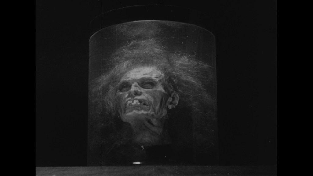 A close-up of a preserved, skeletal head displayed in a glass container, featuring wild, unkempt hair and an eerie expression.