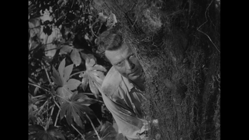 A man peeks from behind a tree in a dense, tropical forest with large leaves.