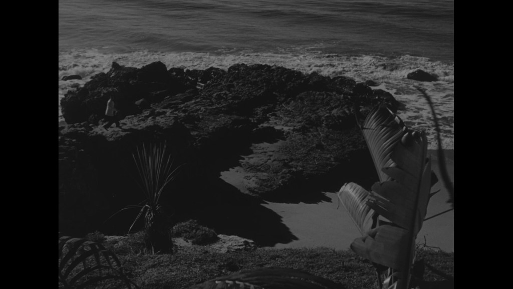 A black and white image of a rocky beach with gentle waves lapping at the shore, featuring a silhouette of a person walking along the rocks, framed by tropical plants in the foreground.