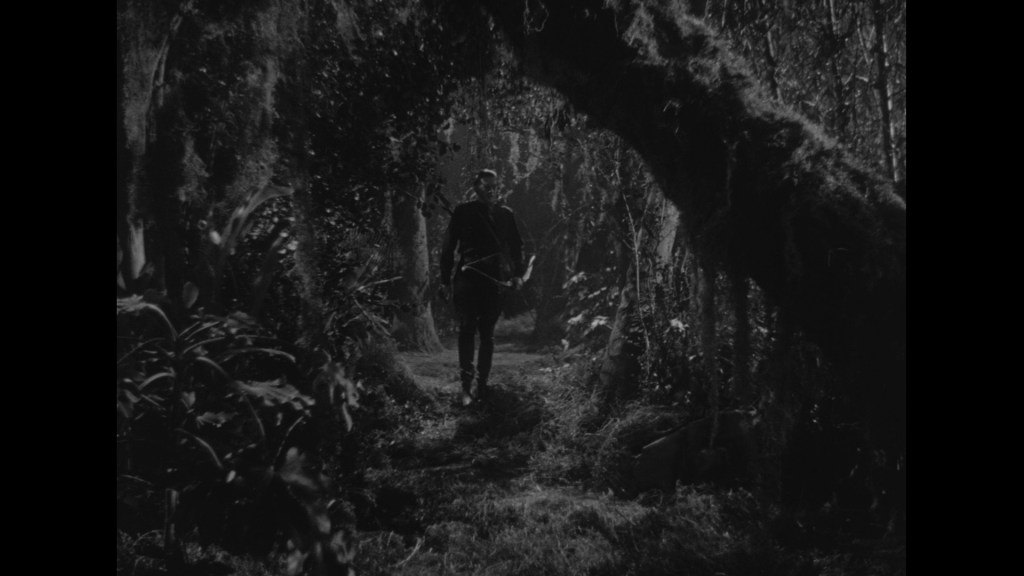 A silhouette of a person walking along a path in a dark, moss-covered forest with dense foliage and trees.
