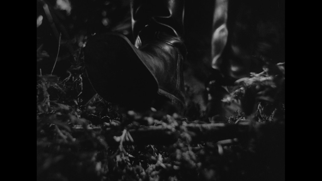 A close-up view of a leather boot stepping on foliage in a dark, wooded environment.