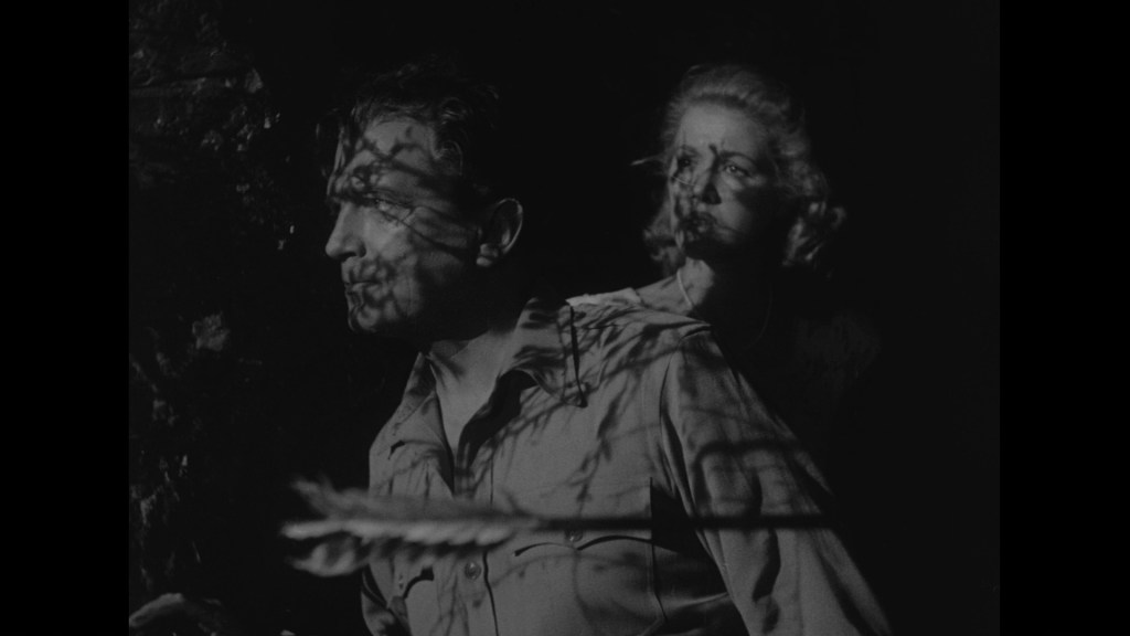 A man and a woman in a dimly lit setting, with shadows of leaves projected on their faces, creating a dramatic atmosphere.