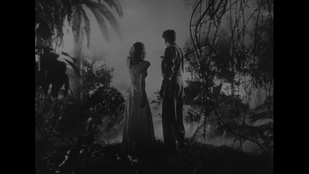 A couple stands back-to-back in a foggy jungle, surrounded by lush vegetation and shadows.