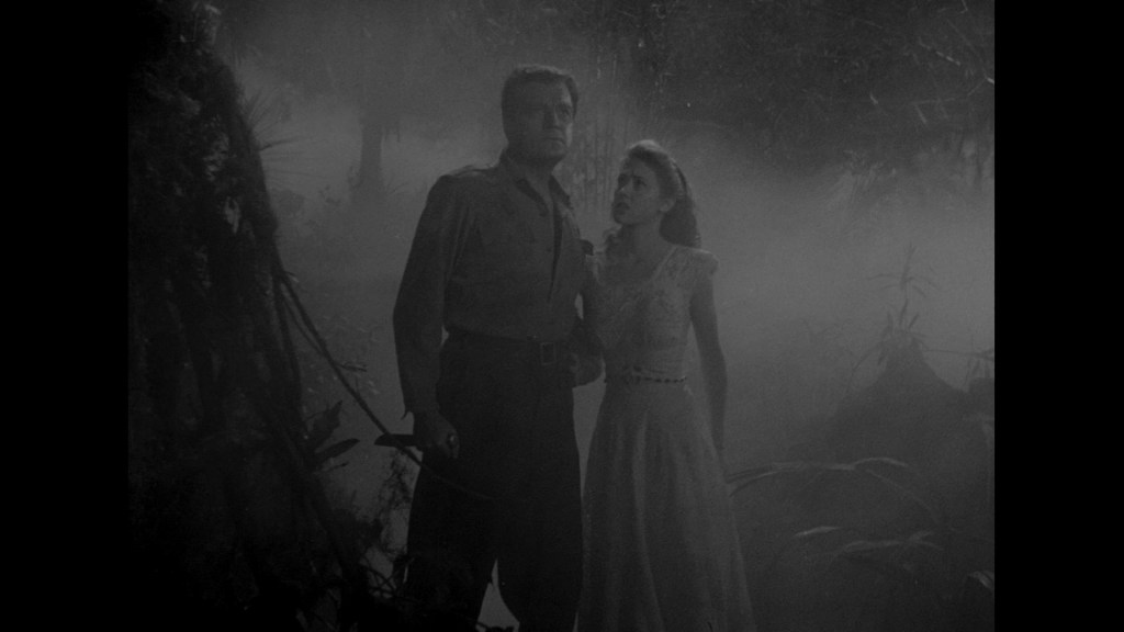 A man and a woman standing together in a foggy jungle, looking up intently while surrounded by dense vegetation.