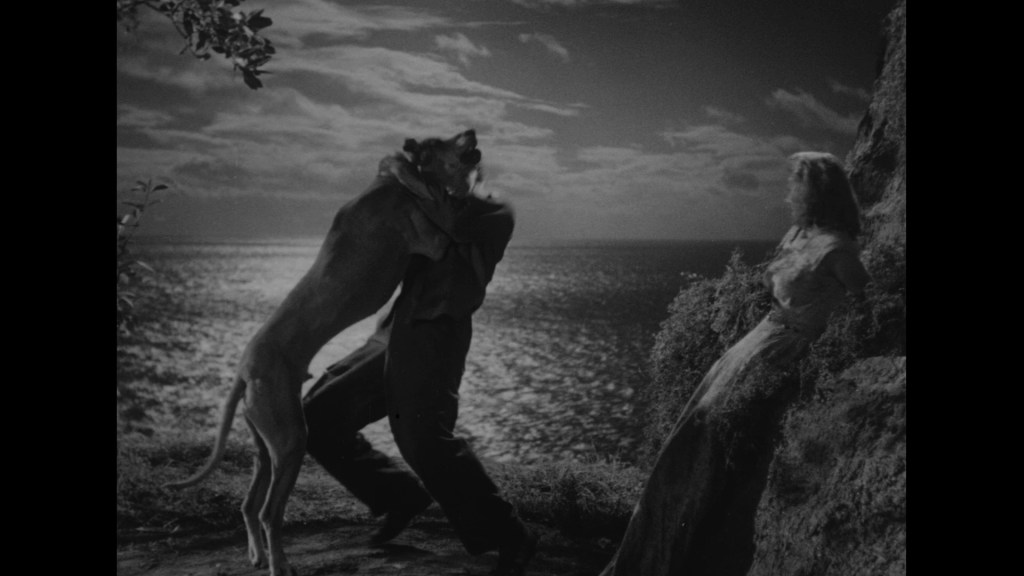 A man embraces a large dog on a rocky shoreline with a scenic ocean backdrop and a woman looking on in the distance, captured in black and white.