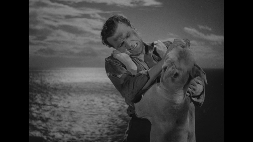 A man joyfully interacts with a large dog against a backdrop of a cloudy sky and ocean.