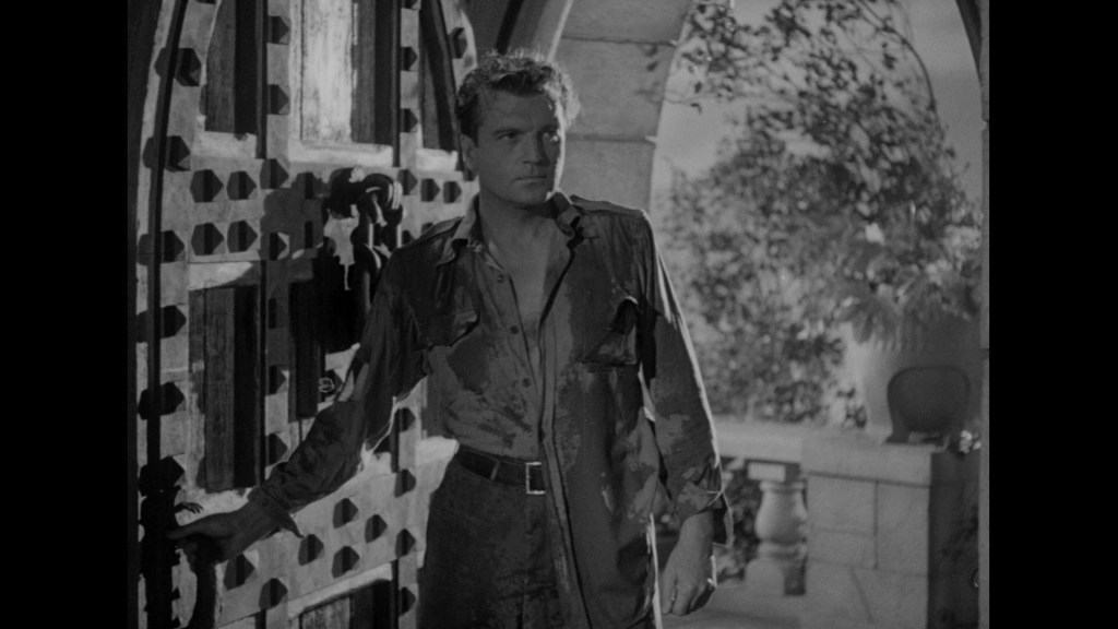 A man in a partially open door, wearing a dirty shirt, looks contemplatively at the camera, surrounded by a stone arch and plants.